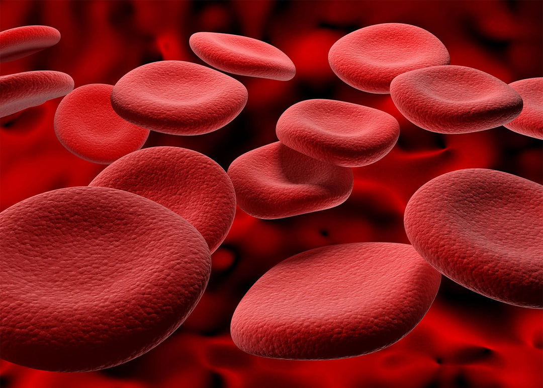 Here Is A Quick Way To Perform A Blood Cleanse. - In10sityFitnessUnited