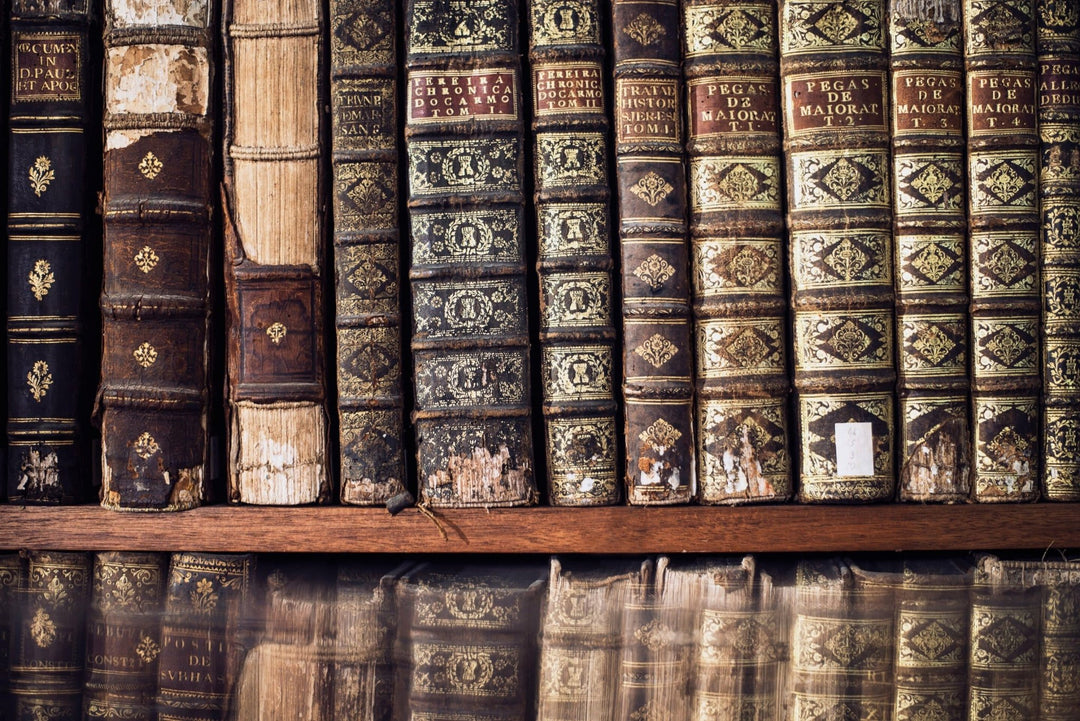 The Power of Reading: And Why You Need To Start Reading Today - In10sityFitnessUnited