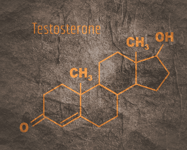 What Food Kills Testosterone? - In10sityFitnessUnited